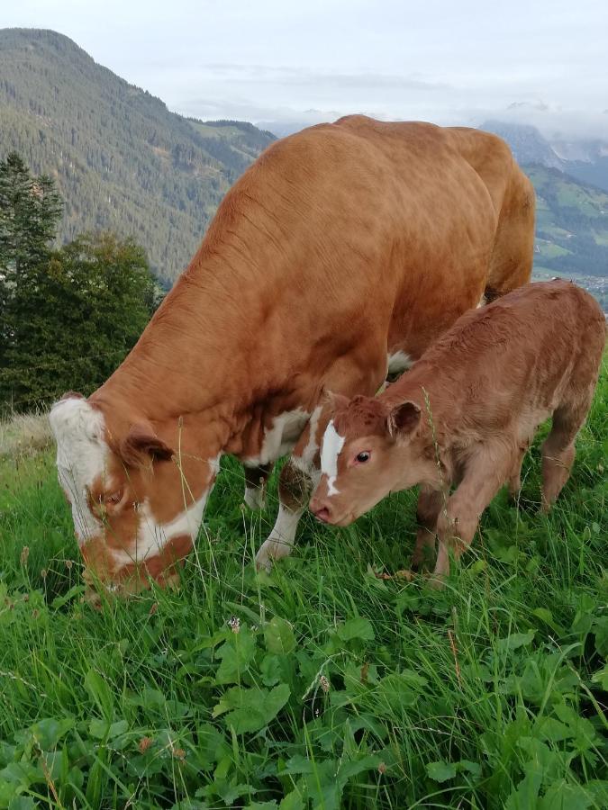 Hahnenkammblick Villa Kitzbühel Eksteriør bilde