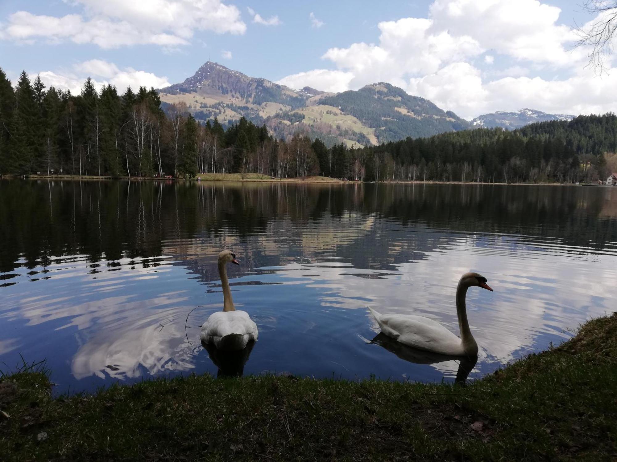 Hahnenkammblick Villa Kitzbühel Eksteriør bilde