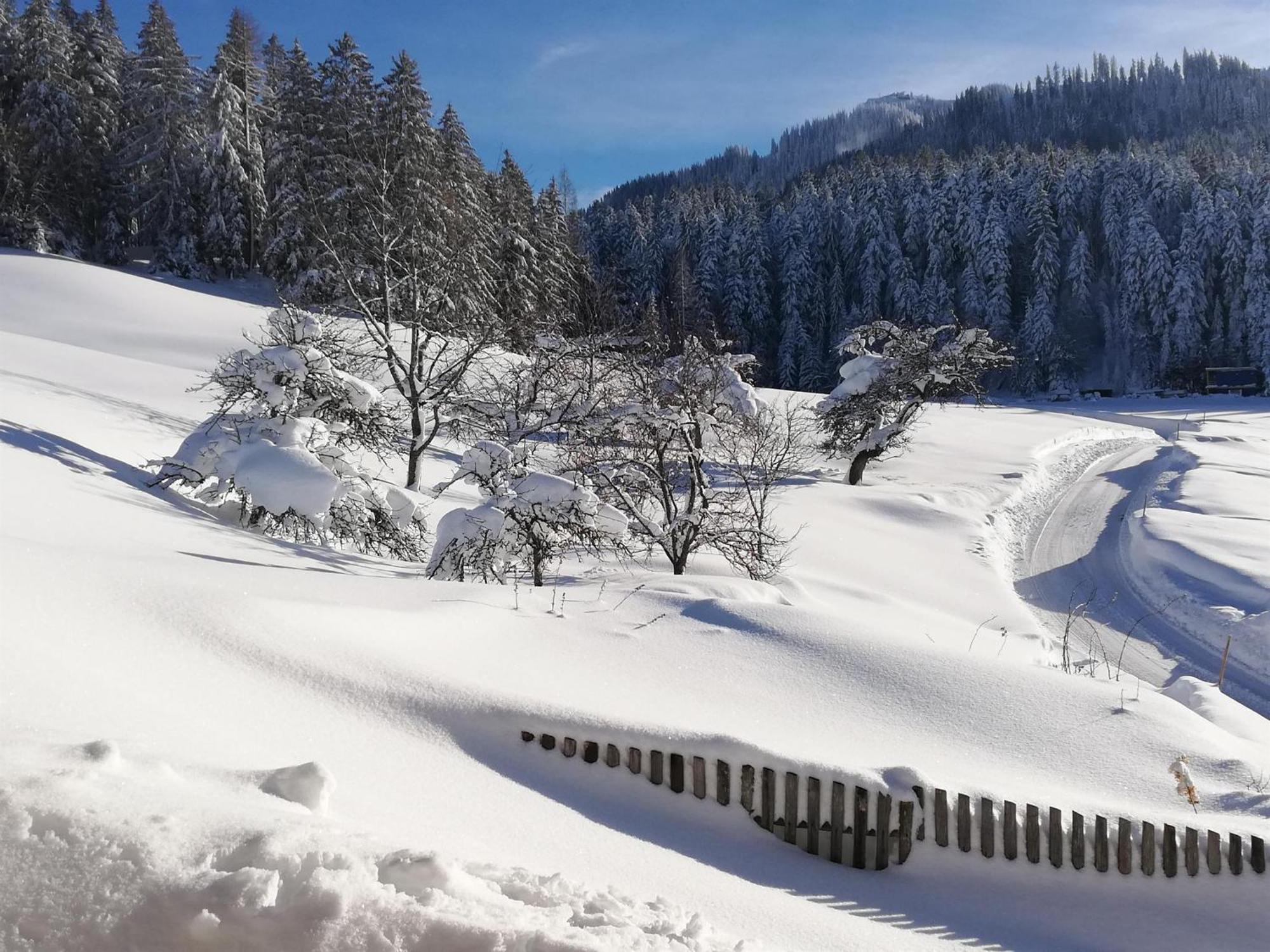 Hahnenkammblick Villa Kitzbühel Eksteriør bilde